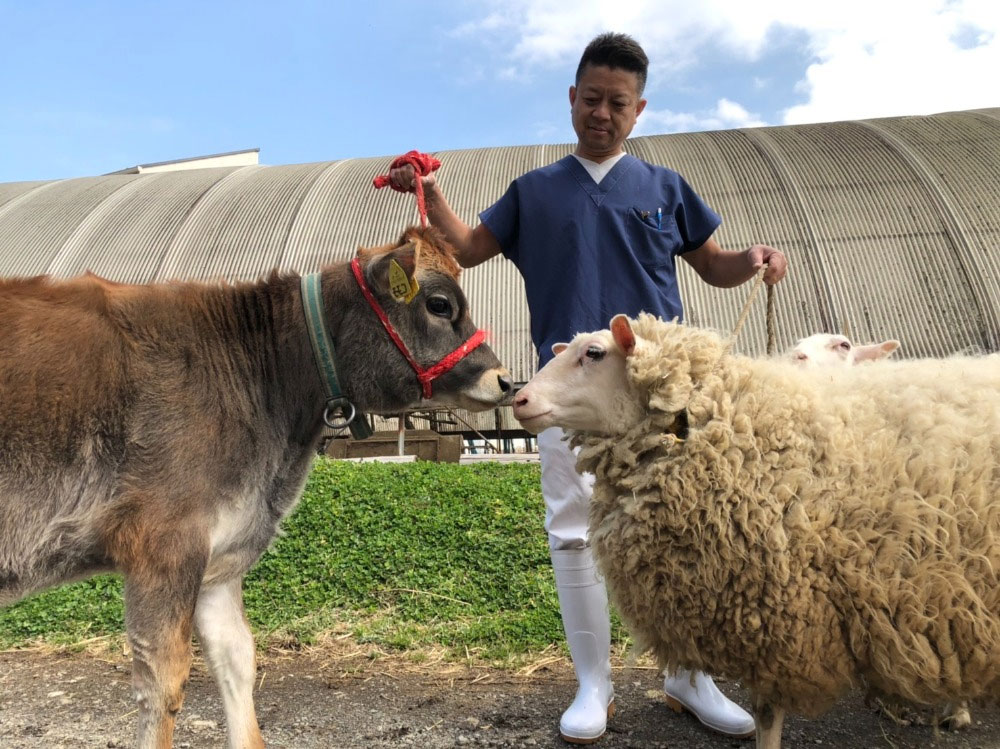動物と向き合う院長の様子
