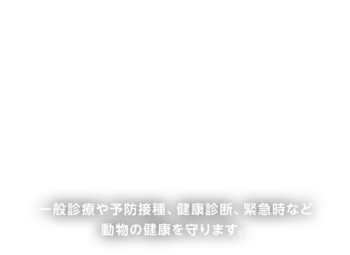 一般診療や予防接種、健康診断、緊急時など動物の健康を守ります。