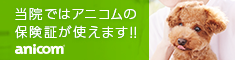 アニコム損害保険株式会社